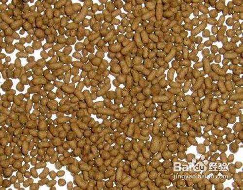 如何判斷魟魚飼料新鮮度：魟魚飼料新鮮度化學檢測