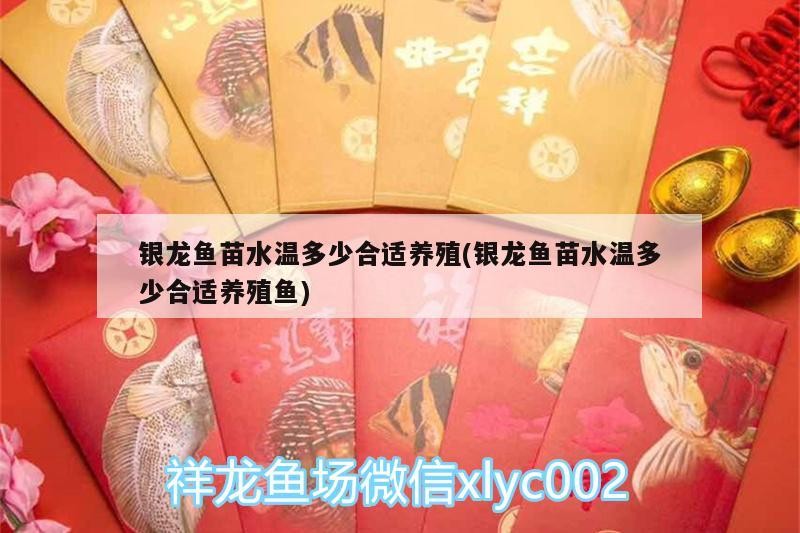銀龍魚苗水溫多少合適養殖(銀龍魚苗水溫多少合適養殖魚)
