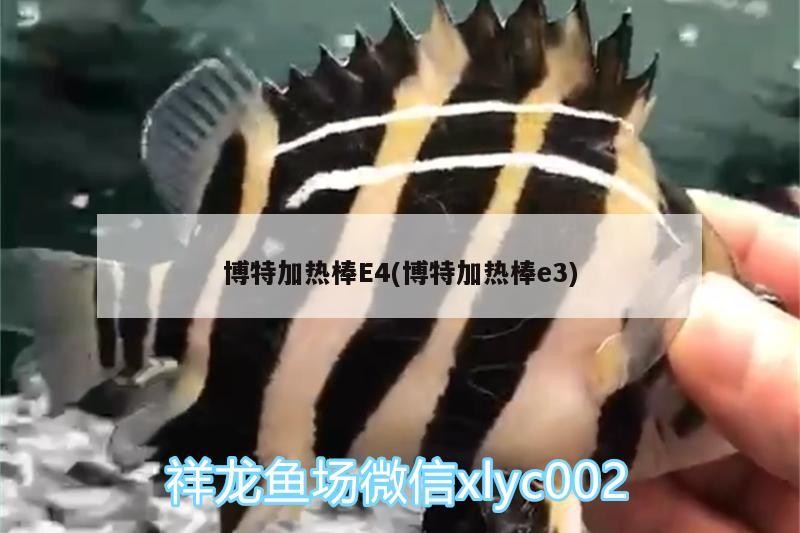 博特加熱棒E4(博特加熱棒e3)