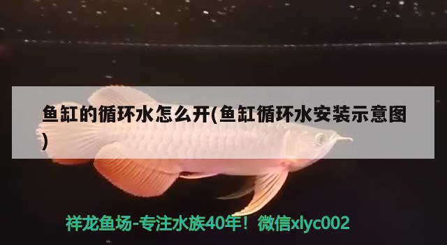 魚缸的循環水怎么開(魚缸循環水安裝示意圖)