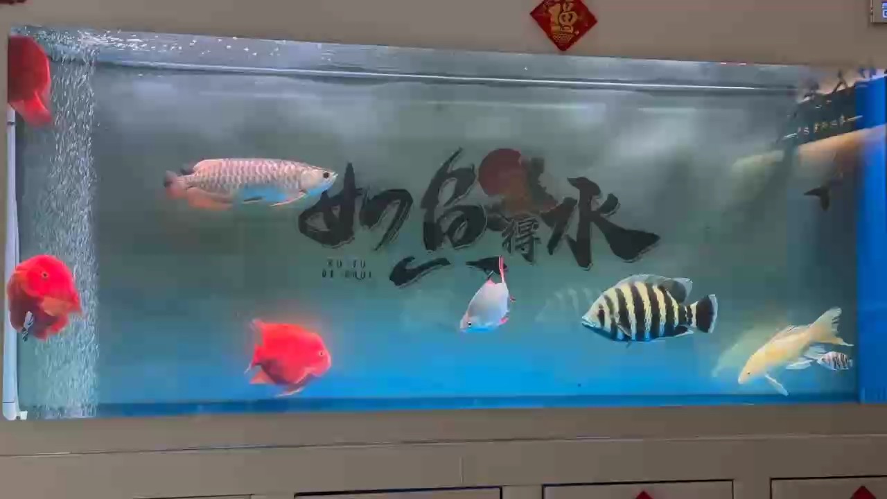 day、54 漸漸不挖煤了、膽子大了