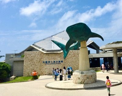 滁州水族館vs祥龍魚場（滇池水族館和祥龍魚場各有其特點(diǎn)）