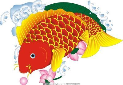 金龍魚圖案設計圖