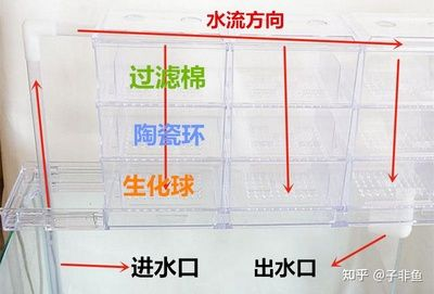 多大的魚缸需要過濾器：如何選擇合適的魚缸過濾器 多大的魚缸需要過濾器：如何選擇合適的魚缸過濾器 魚缸百科 第3張