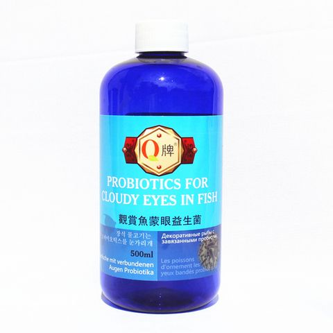 紅龍魚(yú)蒙眼最好治療方法是什么：紅龍魚(yú)蒙眼病治療方法