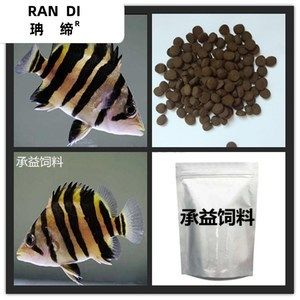 印尼虎魚吃啥長得快又好養活：印尼虎魚吃什么長得快又好養活