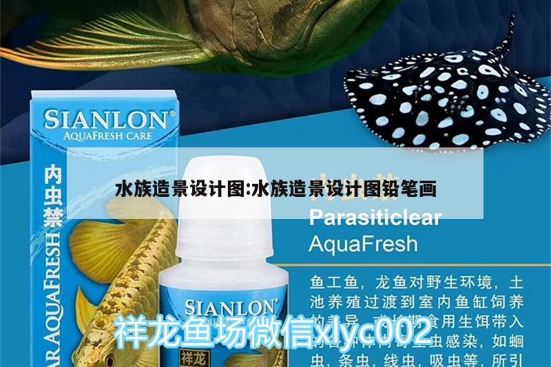 水族造景設計圖:水族造景設計圖鉛筆畫