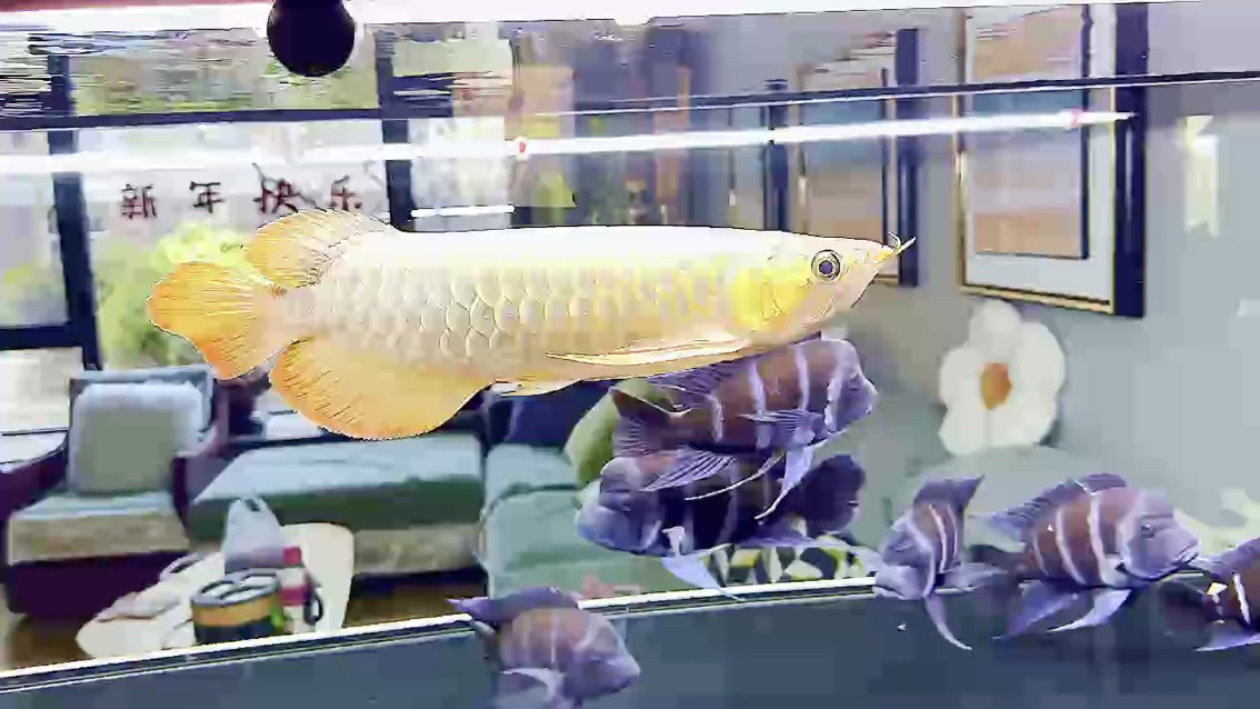 見證你的蛻變