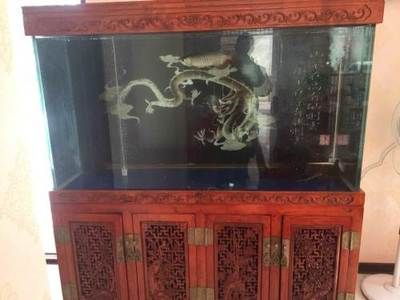 泉州龍魚(yú)vs祥龍魚(yú)場(chǎng)（探討泉州龍魚(yú)與祥龍魚(yú)場(chǎng)之間的差異時(shí)，我們需要明確各自的背景和特點(diǎn)）