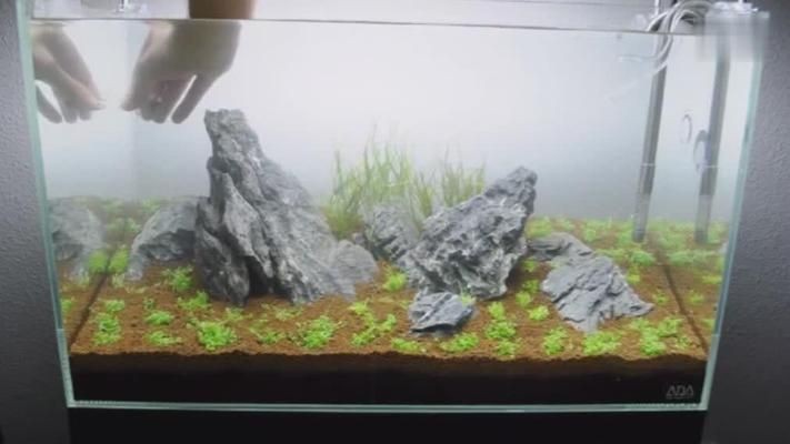 60公分魚缸造景設計圖：60公分魚缸造景設計圖60公分魚缸造景設計圖