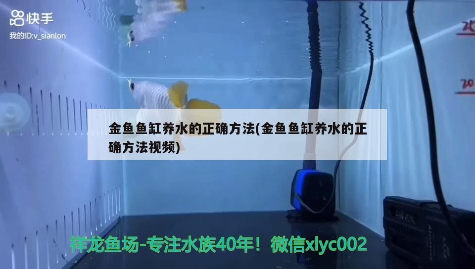 金龍魚養多少錢一條過背金龍魚圖片和播放金龍魚圖片視頻，關于金龍魚的問題