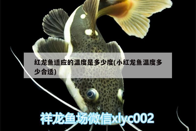 嶗山區(qū)東霆漁具店