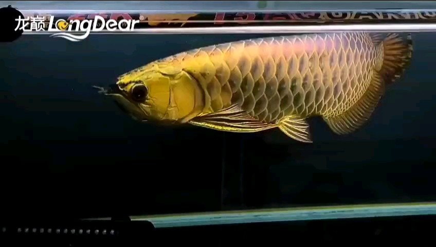 轉發755