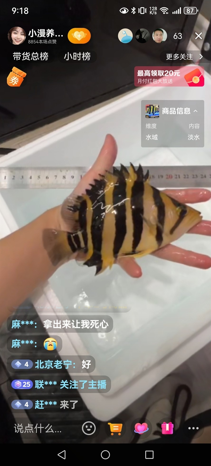 再請一條，留個檔