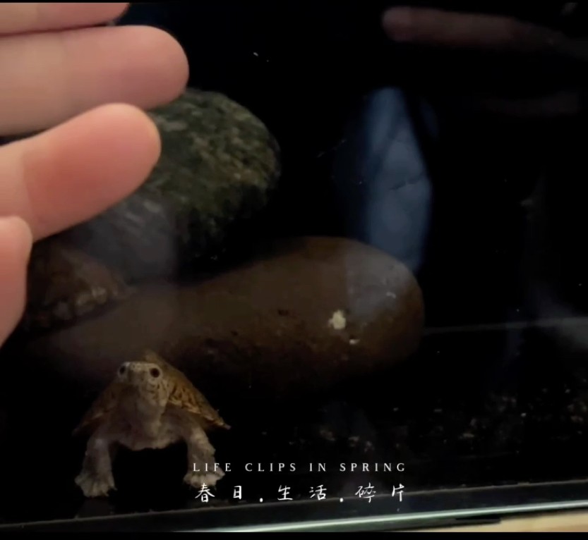 互動起來吧！