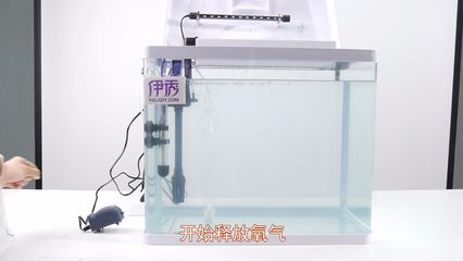 不用氧氣泵怎么給魚缸加氧氣:如何在魚缸中增加氧氣? 魚缸百科 第1張 不用氧氣泵怎么給魚缸加氧氣:如何在魚缸中增加氧氣? 不用氧氣泵怎么給魚缸加氧氣:如何在魚缸中增加氧氣? 魚缸百科 第1張