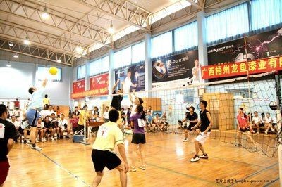 梧州龍魚vs祥龍魚場(梧州龍魚漆業有限公司與祥龍魚場在業務上有什么區別?) 全國水族館企業名錄 第2張 梧州龍魚vs祥龍魚場(梧州龍魚漆業有限公司與祥龍魚場在業務上有什么區別?) 梧州龍魚vs祥龍魚場(梧州龍魚漆業有限公司與祥龍魚場在業務上有什么區別?) 全國水族館企業名錄 第2張