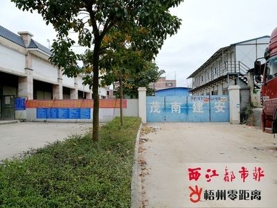 如何從印尼進口龍魚品種到中國并在中國賣出，如何從印尼進口龍魚品種到中國