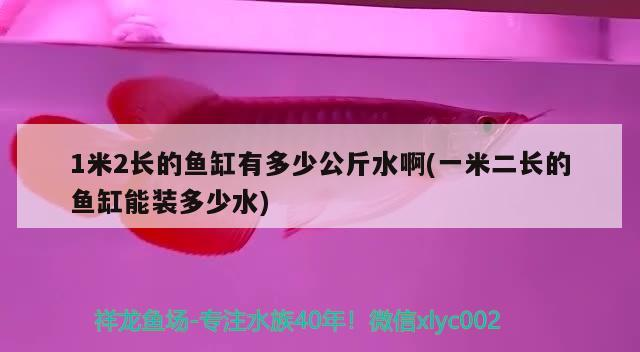 1米2長的魚缸有多少公斤水啊(一米二長的魚缸能裝多少水)