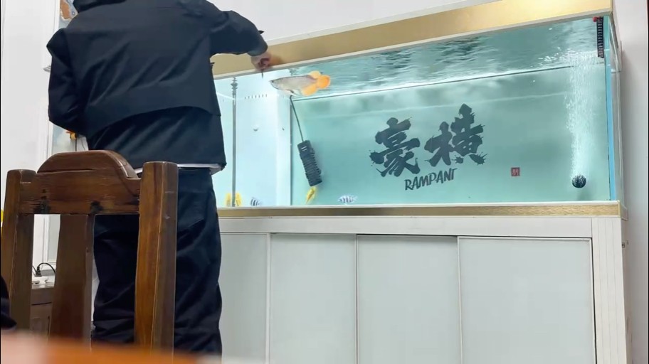 這狀態還可以吧？