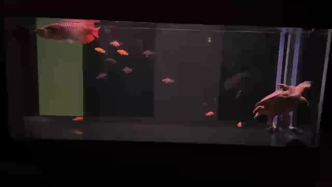算空氣缸不？