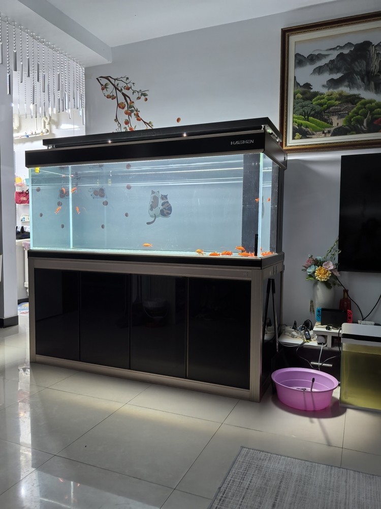 缸已經準備好了， 還沒考慮好要養什么魚[yinxian]
