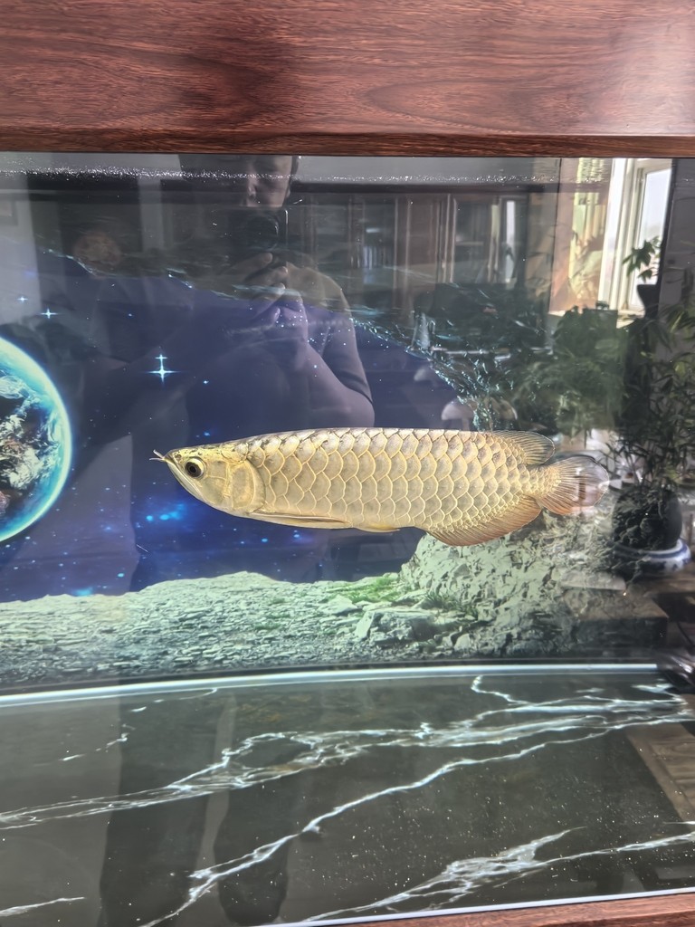 養了一個月了，大神來看看還會不會返垢！