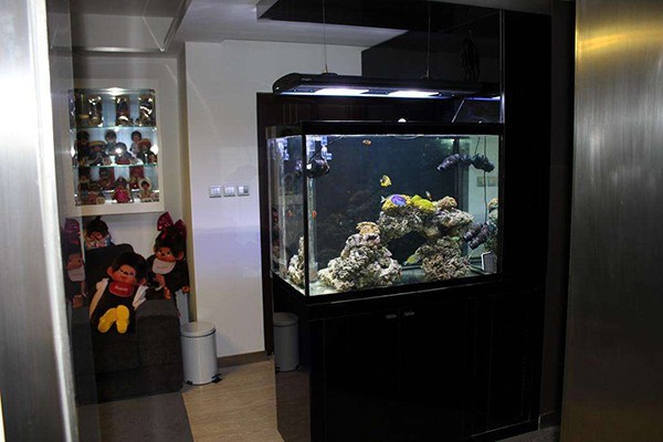 撫順市新撫新老大水族館（撫順市新撫新老大水族館地址）