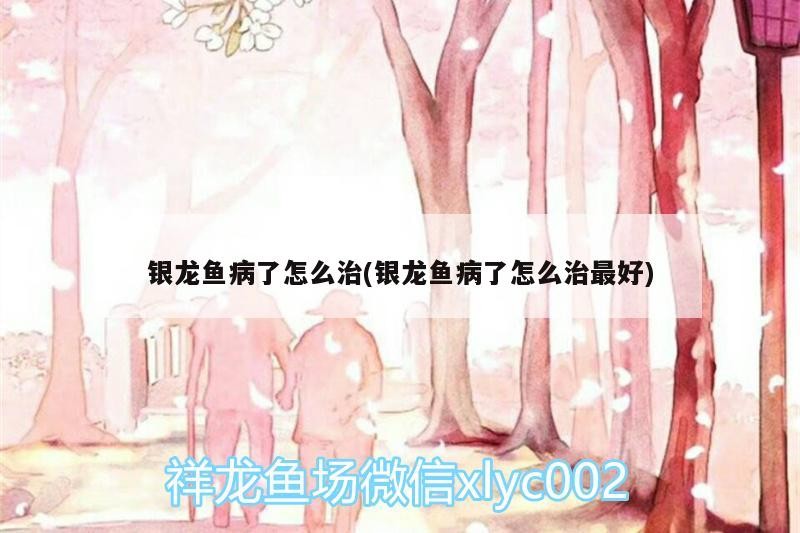銀龍魚(yú)病了怎么治(銀龍魚(yú)病了怎么治最好)