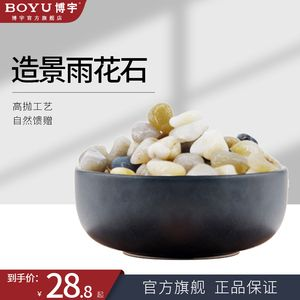 鵝蛋石魚缸造景：魚缸造景的藝術哲學魚缸造景的藝術哲學魚缸造景的藝術哲學