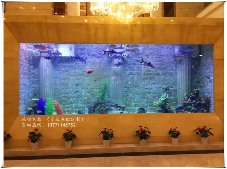 大型魚缸設計圖：個性化魚缸設計的魅力