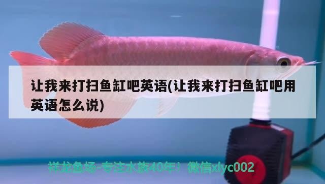 過背金龍魚可以吃嗎有毒嗎（什么是過背金龍帶大家了解過背金龍）