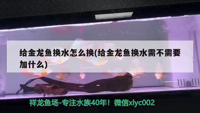 森森魚缸質量怎么樣(森森魚缸好嗎) 森森魚缸質量怎么樣(森森魚缸好嗎) 魟魚百科