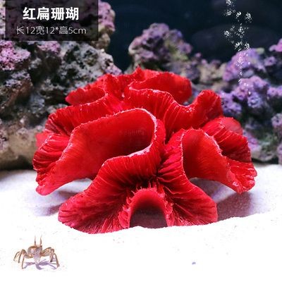 扁的魚缸怎么造景：扁形魚缸造景的基本步驟在魚缸造景的基本步驟之一