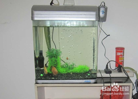 博特水泵售后在哪（博特水泵售后在哪里） 博特水泵售后在哪（博特水泵售后在哪里） 博特水族