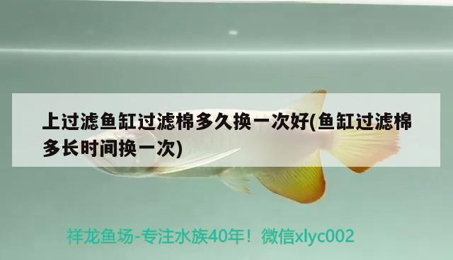 陽泉二手魚缸轉(zhuǎn)讓58同城信息大全最新消息(陽泉哪里有賣魚缸的)