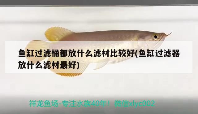 魚缸過濾桶都放什么濾材比較好(魚缸過濾器放什么濾材最好)