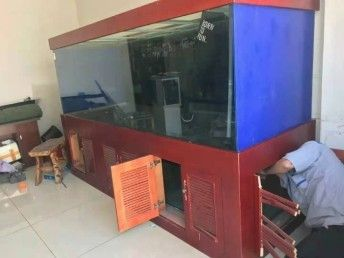 搬魚缸神器：搬魚缸神器有哪些