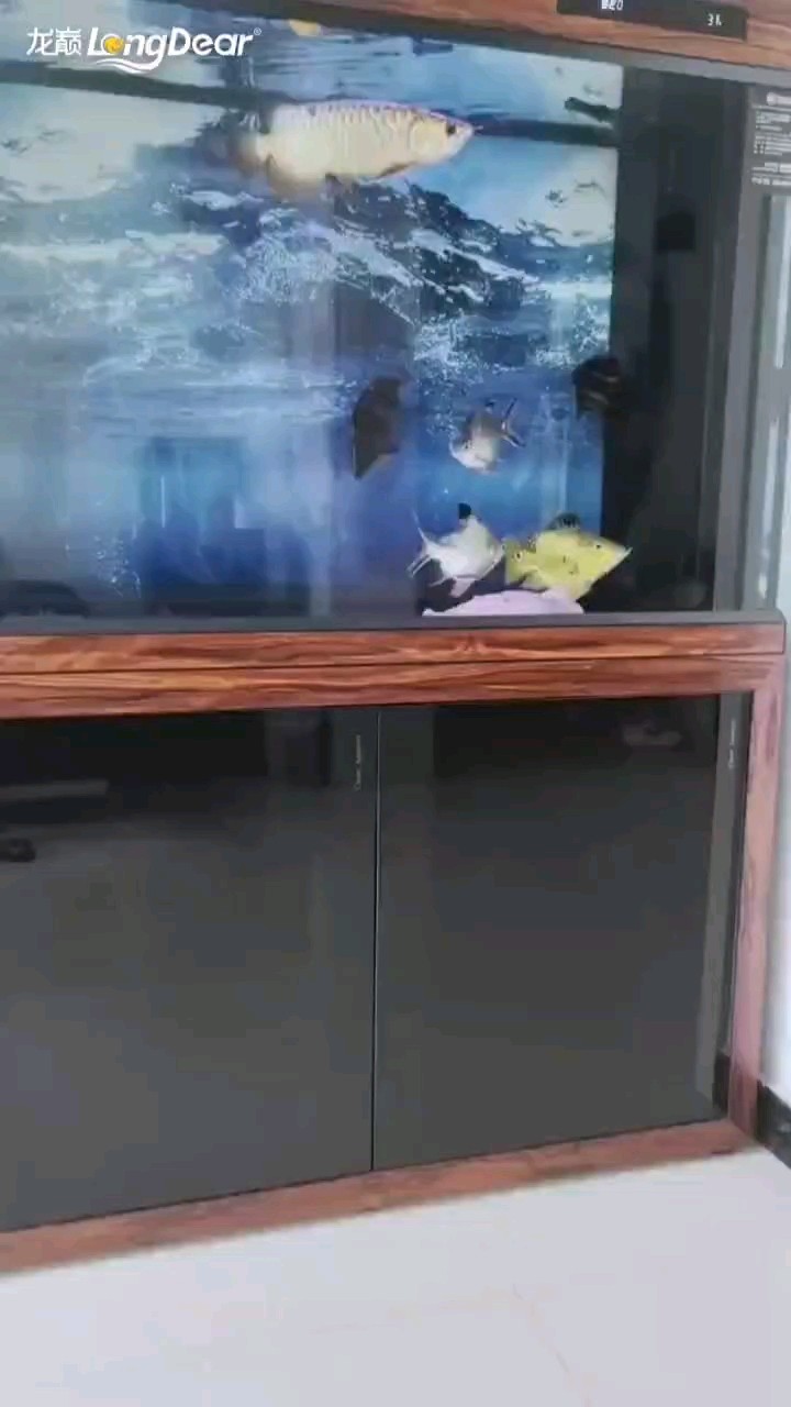 轉發754