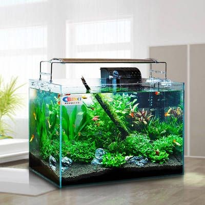 超白魚缸去哪買比較好看又實惠：如何挑選一款超白魚缸？