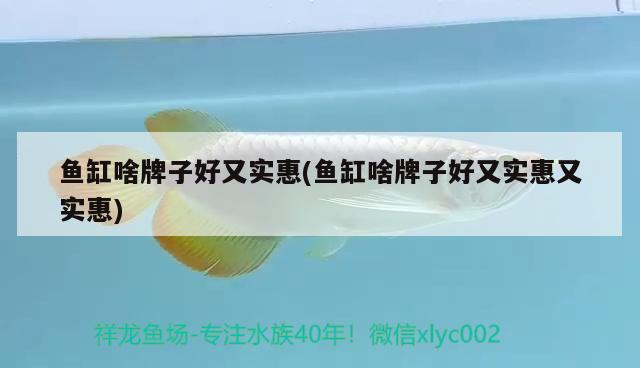 魚缸啥牌子好又實惠(魚缸啥牌子好又實惠又實惠)