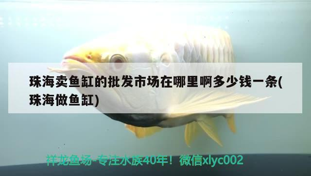 <strong><mark>珠海</mark></strong>賣魚缸的批發(fā)市場在哪里啊多少錢一條(<strong><mark>珠海</mark></strong>做魚缸)