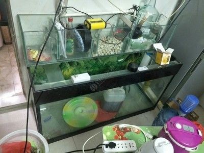 大魚缸搬家是怎么運動的：大魚缸搬家的注意事項