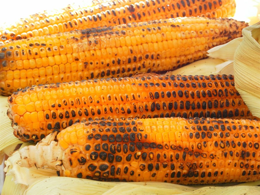 龍魚尾巴下垂是怎么回事（龍魚尾巴下垂是怎么回事圖片）