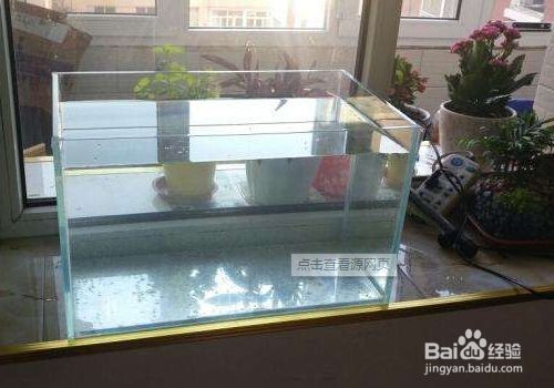 超白玻璃魚缸會爆缸嗎視頻：如何避免超白玻璃魚缸爆缸？