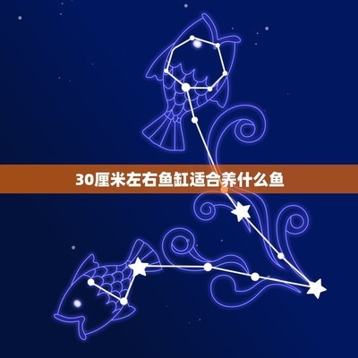 濟(jì)南水族魚缸批發(fā)市場(chǎng)在哪里呢電話多少