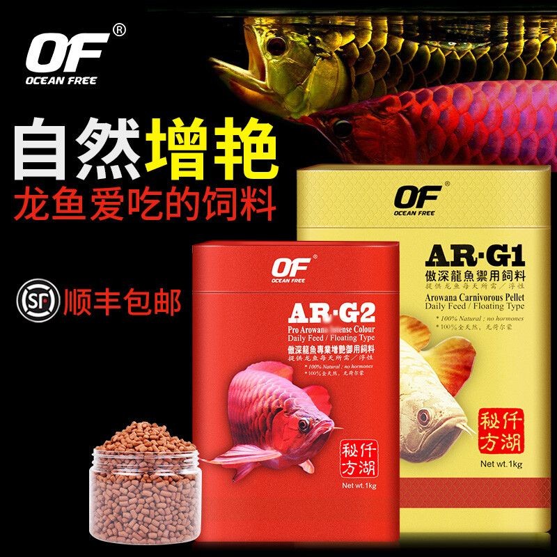 紅龍魚飼料羅漢魚能吃嗎有毒嗎：紅龍魚專用飼料品牌推薦，羅漢魚營養需求詳解，羅漢魚混養注意事項