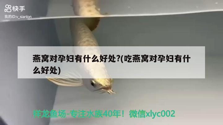 抓魚也很帥