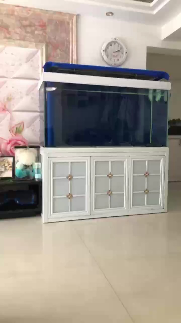 到家第三天了還是這么一直轉圈圈，腦子裝了個呼啦圈，這是有啥大病