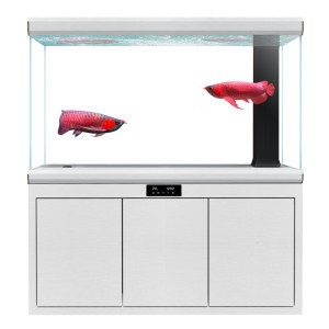 超白魚缸和高清浮法玻璃哪個好：超白魚缸和高清浮法玻璃魚缸各有優缺點 超白魚缸和高清浮法玻璃哪個好：超白魚缸和高清浮法玻璃魚缸各有優缺點 魚缸百科 第2張